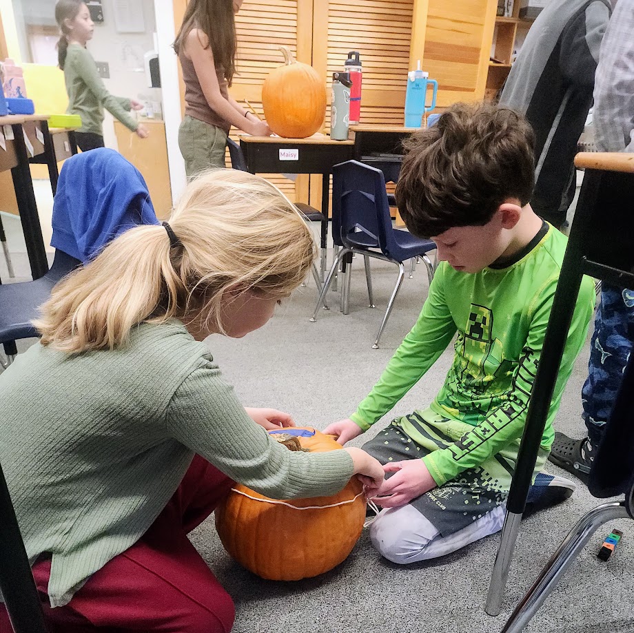 measuring pumpkins